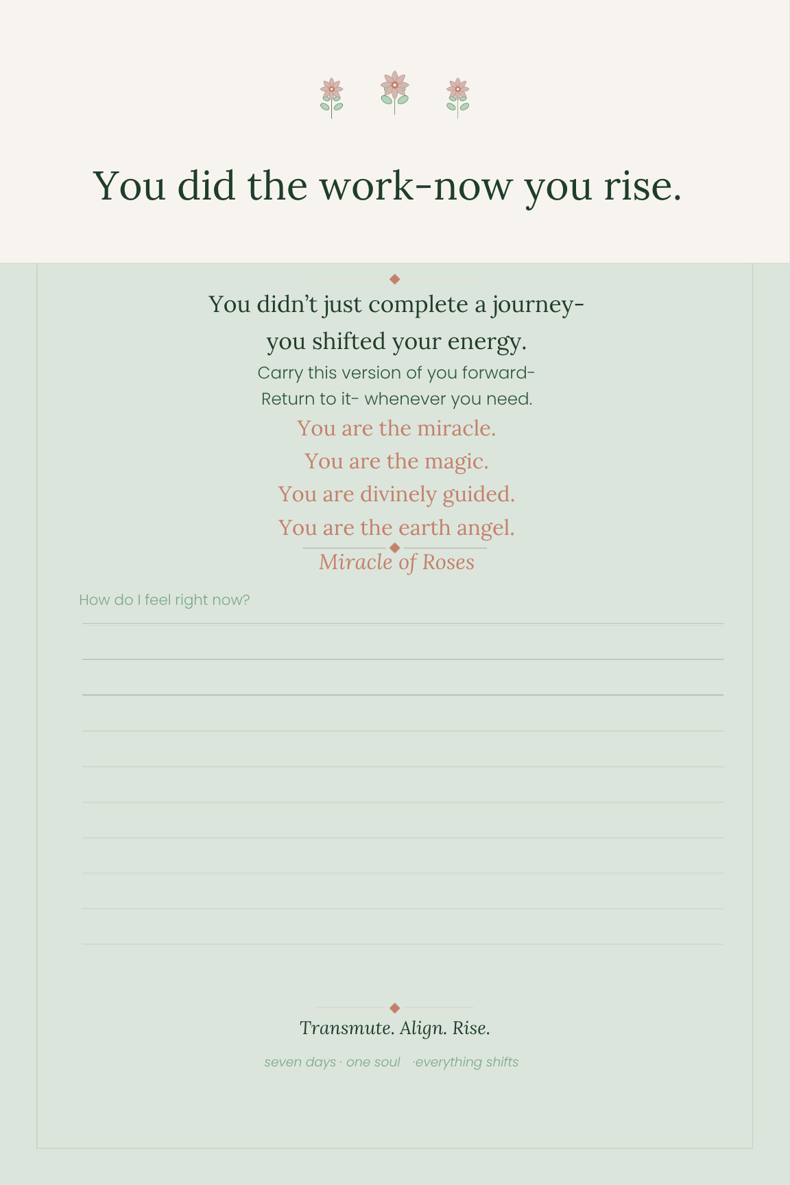 Transmute & Align - A 7-Day Soul Reset