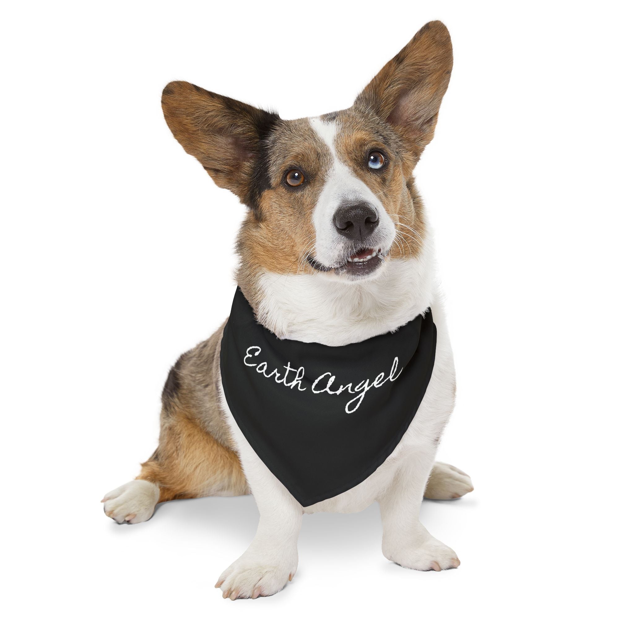 Earth Angel | Miracle of Roses Pet Bandana